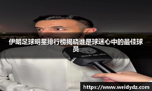 伊朗足球明星排行榜揭晓谁是球迷心中的最佳球员